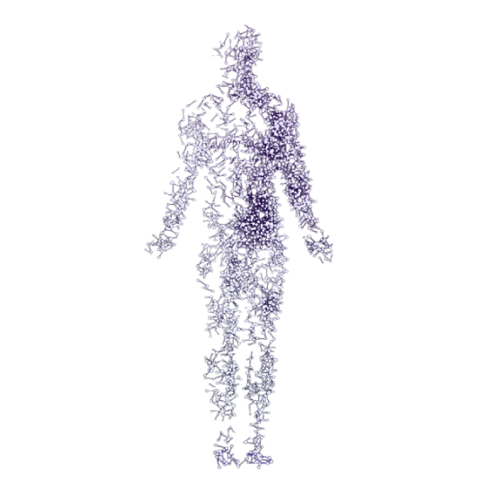 humano Diplomado de Dismetabolismo - HitLive