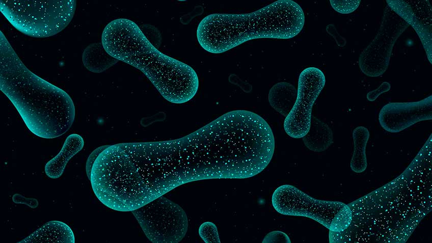 adquiriendo-el-microbioma HitLive | Mañanas Poderosas