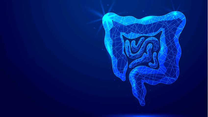 bacterias-que-colonizan-la-mucosa-intestinal HitLive | Mañanas Poderosas