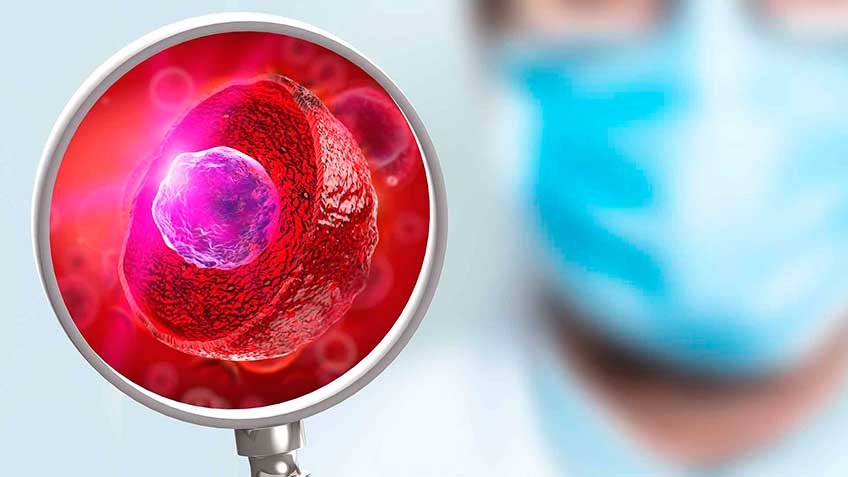 celulas-de-la-mec HitLive | Mañanas Poderosas