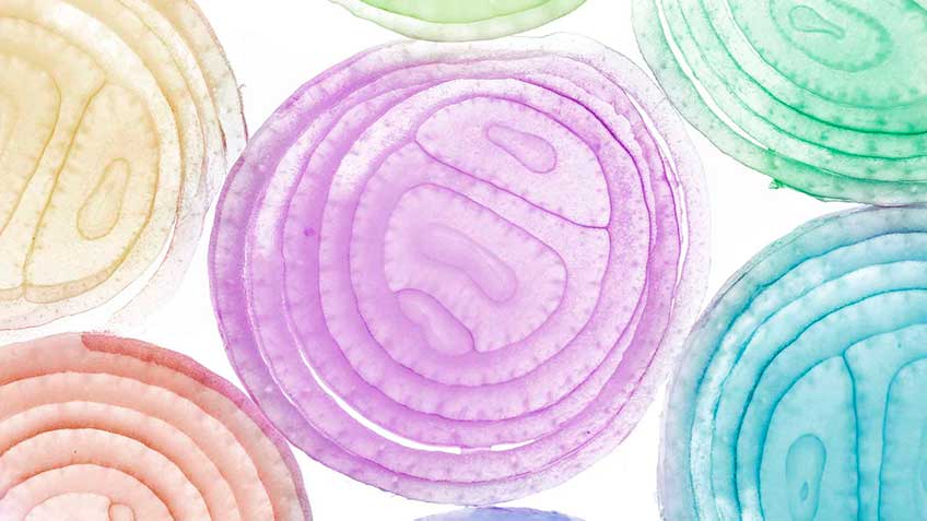 corte-biologico Blog - HitLive