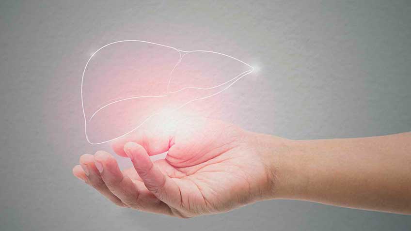 detoxificacion-hepatica-introduccion HitLive | Mañanas Poderosas