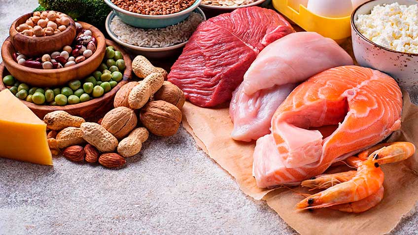 digestion-de-proteinas Blog - HitLive