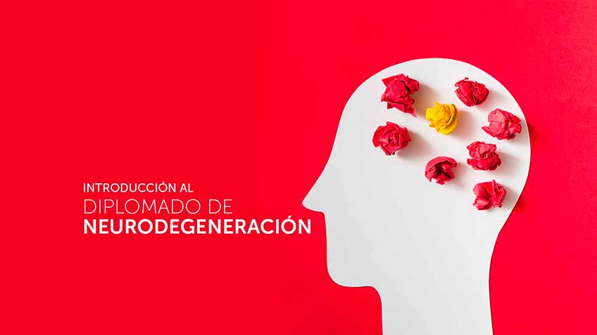 el-cerebro-nuestra-realidad HitLive | Mañanas Poderosas