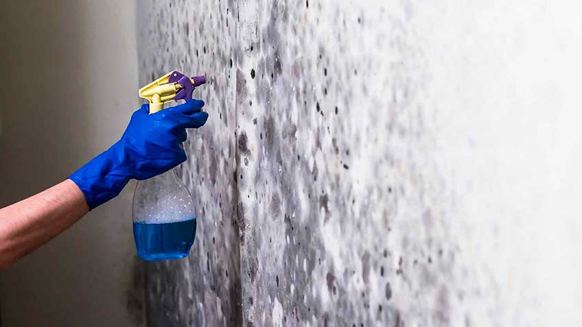 el-moho-te-esta-enfermando HitLive | Mañanas Poderosas