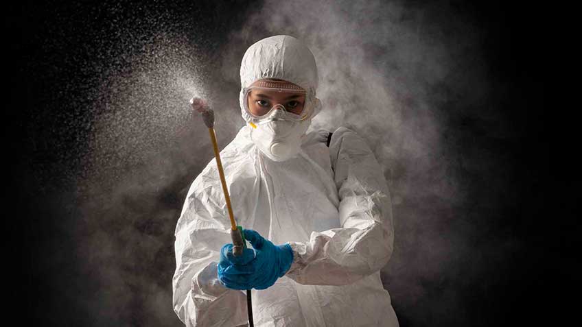 epoca-grandes-plagas HitLive | Mañanas Poderosas