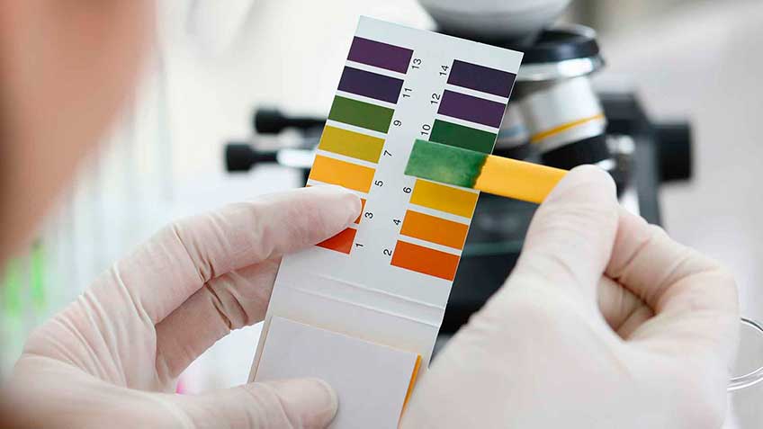 equilibrio-acido-base-sistema-de-medida HitLive | Mañanas Poderosas