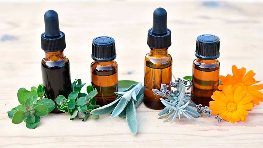 farmacognosia HitLive | Mañanas Poderosas