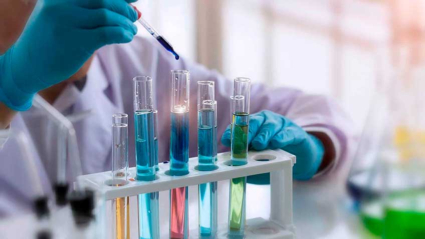 fases-en-la-biotransformacion-de-toxinas HitLive | Mañanas Poderosas