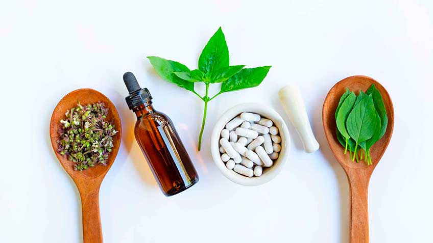 fitoterapia-en-la-terapeutica-actual HitLive | Mañanas Poderosas