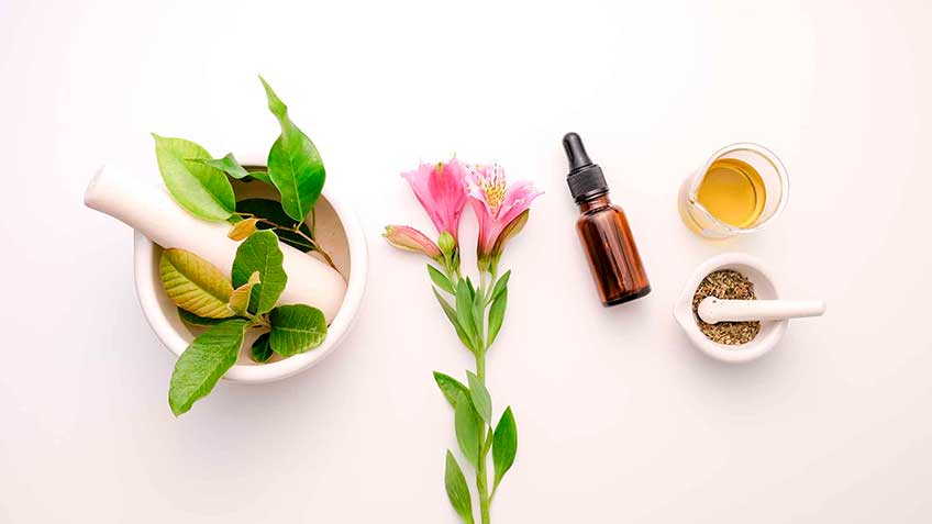 fitoterapia HitLive | Mañanas Poderosas