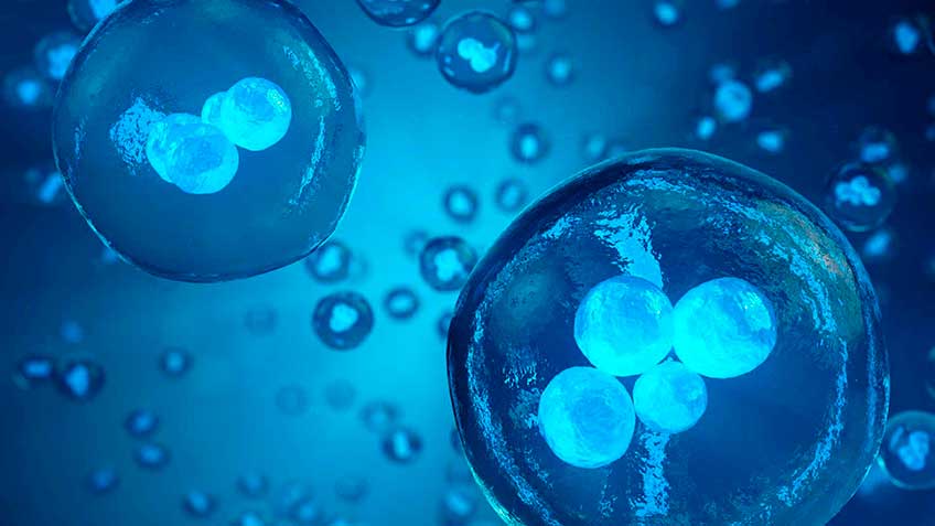 funcionamiento-de-la-mec HitLive | Mañanas Poderosas