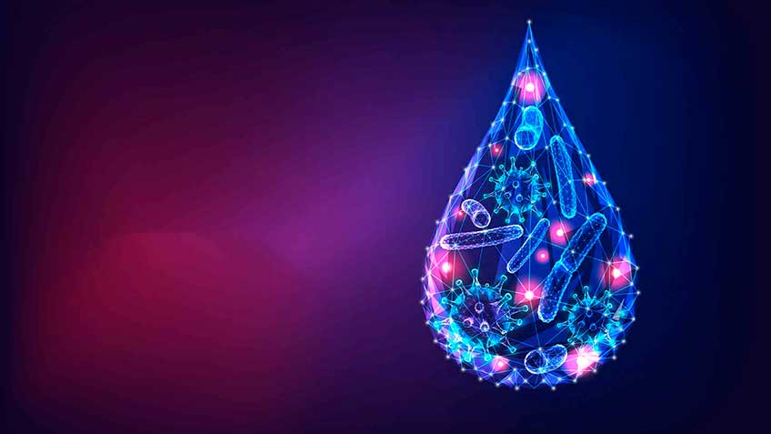 glicocalix image glicocalix Blog - HitLive