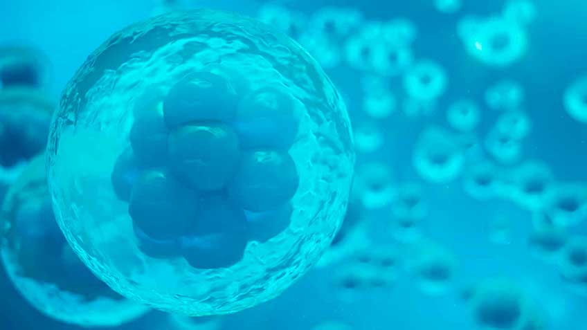 glutation-introduccion HitLive | Mañanas Poderosas