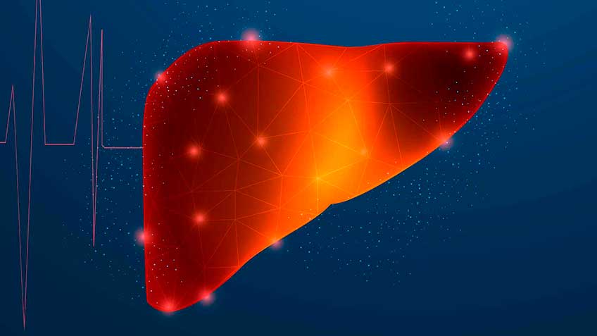 hi-gado-funcional-lento HitLive | Mañanas Poderosas