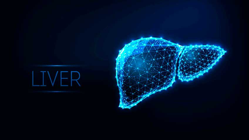higado-la-central-de-detoxicacion HitLive | Mañanas Poderosas
