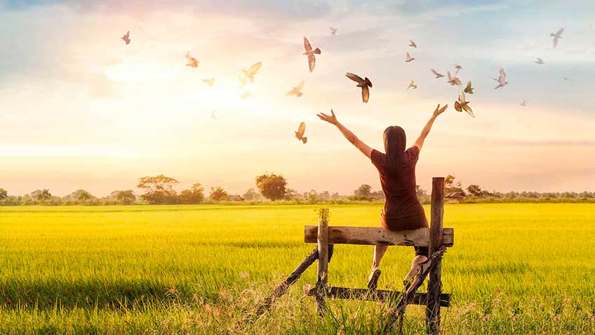 homotoxicologia-fases-humorales HitLive | Mañanas Poderosas