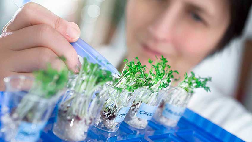 introduccio-n-a-la-medicina-biologica HitLive | Mañanas Poderosas