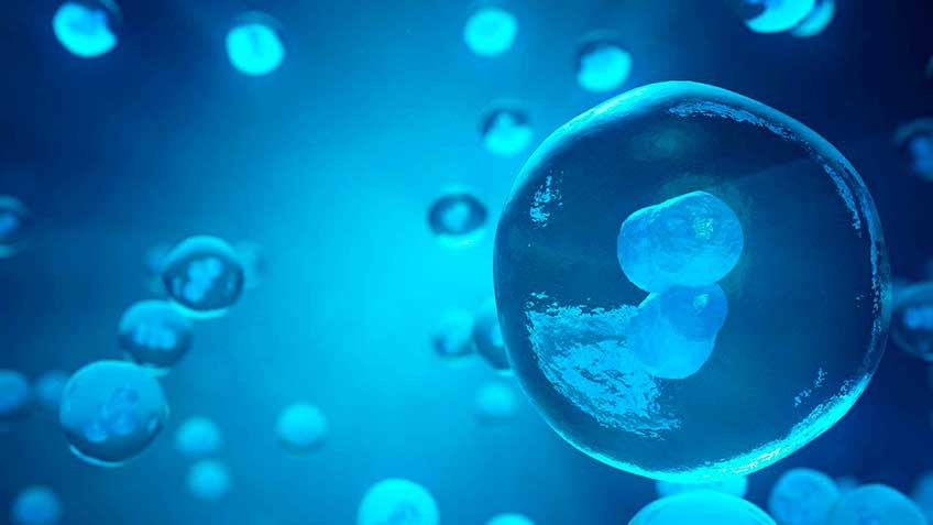 la-capa-lipidica HitLive | Mañanas Poderosas