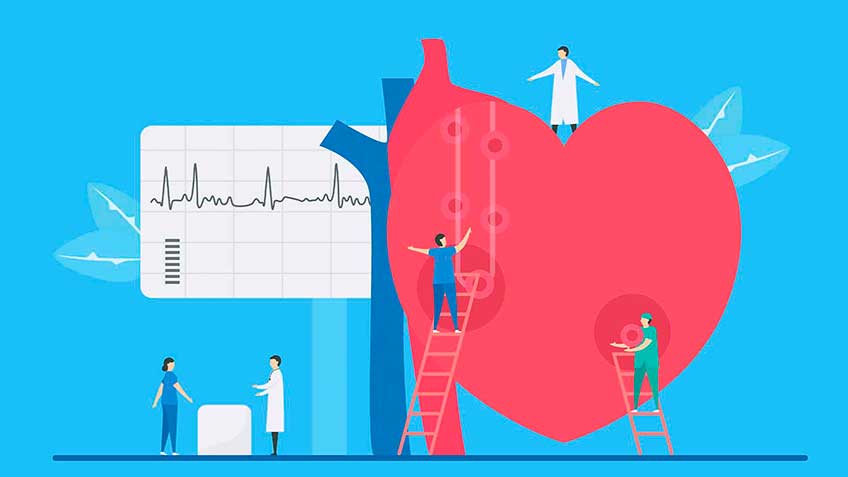 la-matrix-viviente-senalizacion-y-movimiento-celular HitLive | Mañanas Poderosas