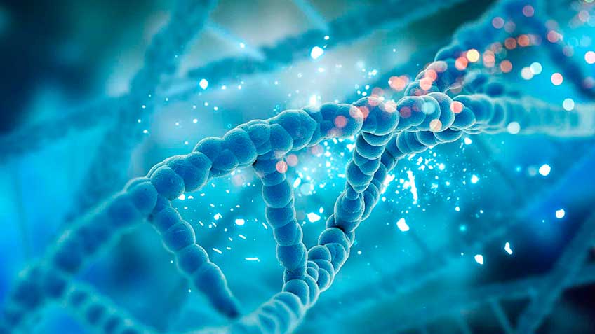 la-matrix-viviente-tensegridad HitLive | Mañanas Poderosas