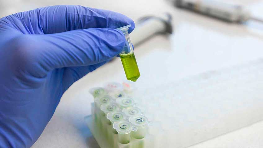 la-sustancia-fundamental-en-la-mec HitLive | Mañanas Poderosas