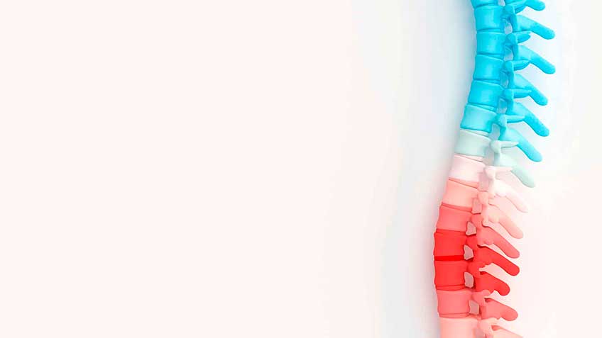 manipulaciones-base-neuroanatomica HitLive | Mañanas Poderosas