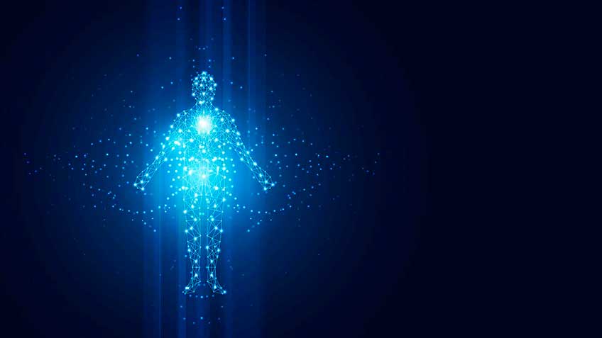 matrix-viviente-coherencia-biologica-vision-actual HitLive | Mañanas Poderosas