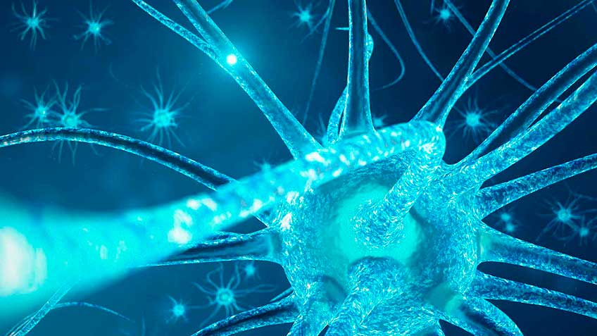 matrix-viviente-sistema-de-control-neural HitLive | Mañanas Poderosas