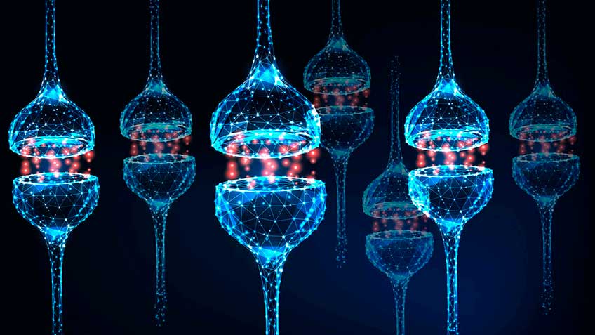 matrix-viviente-transferencia-armo-nica-vision-actual HitLive | Mañanas Poderosas