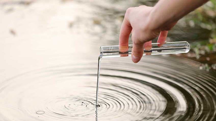 mecanismo-de-detoxicacio-n-hepa-tica-glucuronizacio-n HitLive | Mañanas Poderosas