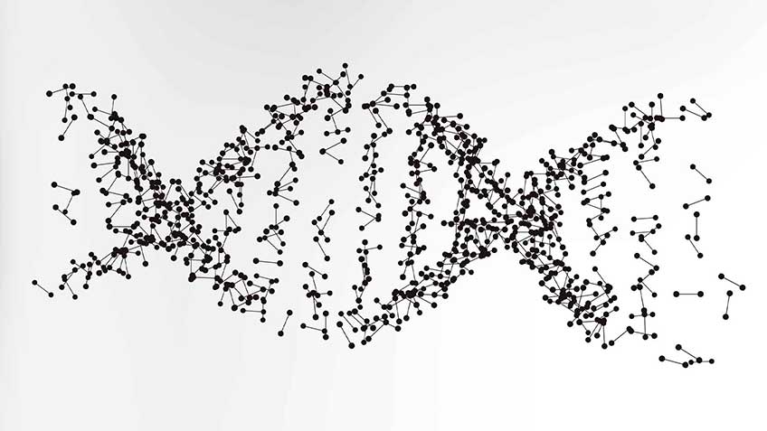 mecanismo-de-detoxicacio-n-hepa-tica-metilacio-n HitLive | Mañanas Poderosas