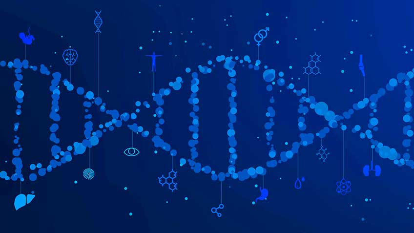 mecanismo-de-detoxicacio-n-hepa-tico-acetilacio-n image mecanismo-de-detoxicacio-n-hepa-tico-acetilacio-n Blog - HitLive