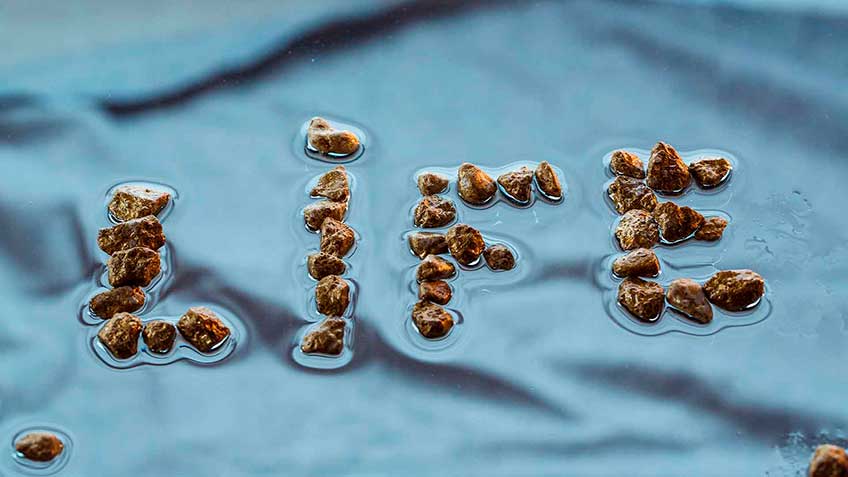 minerales-importancia-2 HitLive | Mañanas Poderosas