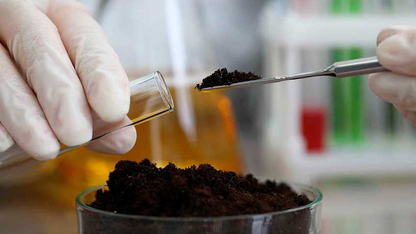 minerales-realidades HitLive | Mañanas Poderosas