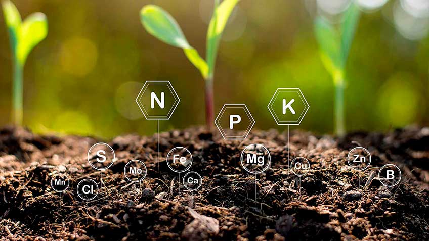 minerales-tipos-y-componentes HitLive | Mañanas Poderosas