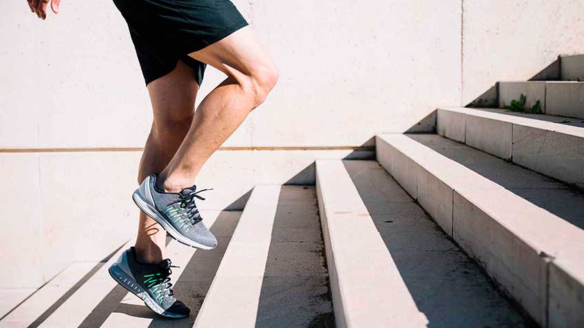 mu-sculos-anatomi-a HitLive | Mañanas Poderosas