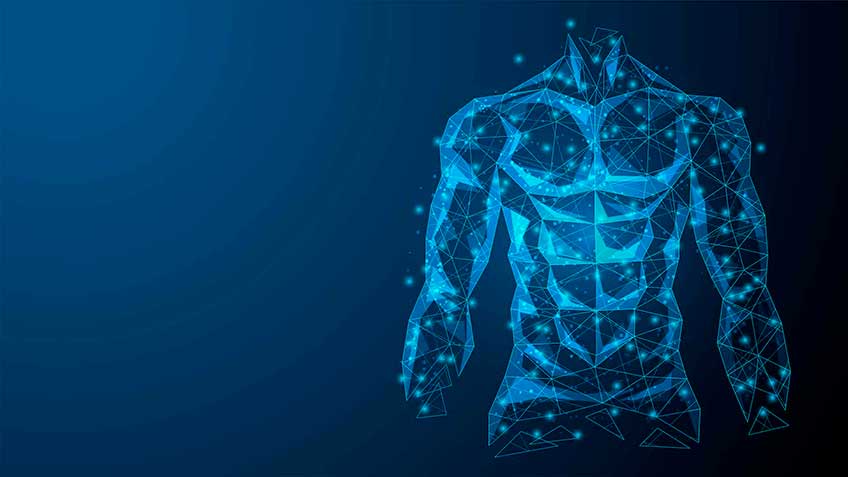 mu-sculos-clasificacio-n HitLive | Mañanas Poderosas