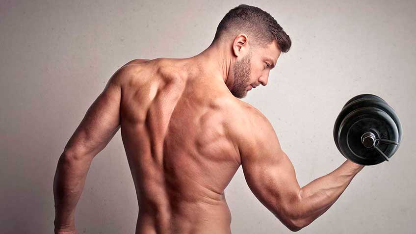 mu-sculos-introduccio-n HitLive | Mañanas Poderosas