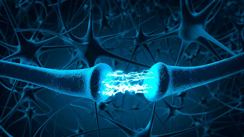 neurotransmisores-dopamina image neurotransmisores-dopamina Blog - HitLive