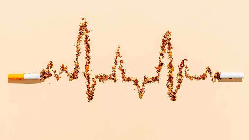 por-que-estamos-to-xicos HitLive | Mañanas Poderosas