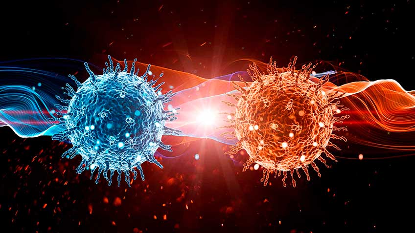 procariotes-archae-en-la-microbiota HitLive | Mañanas Poderosas