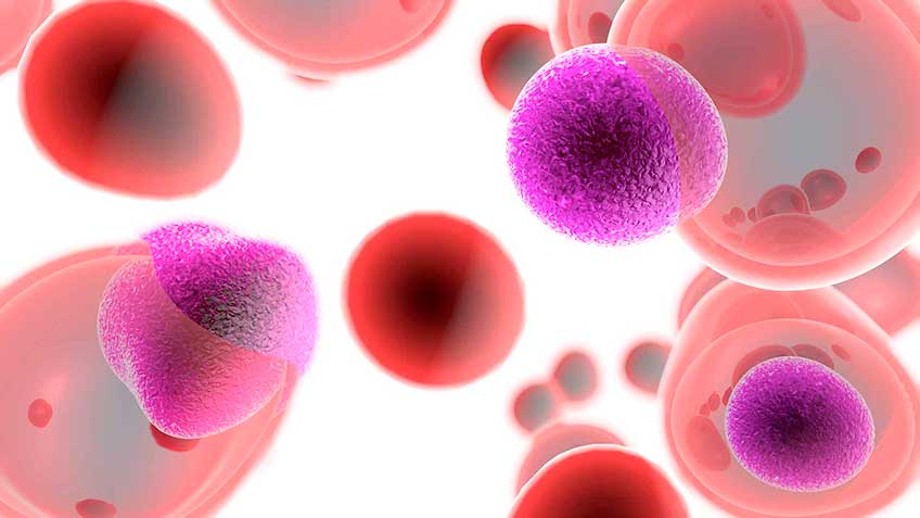 propiedades-de-la-matrix-viviente image propiedades-de-la-matrix-viviente Blog - HitLive