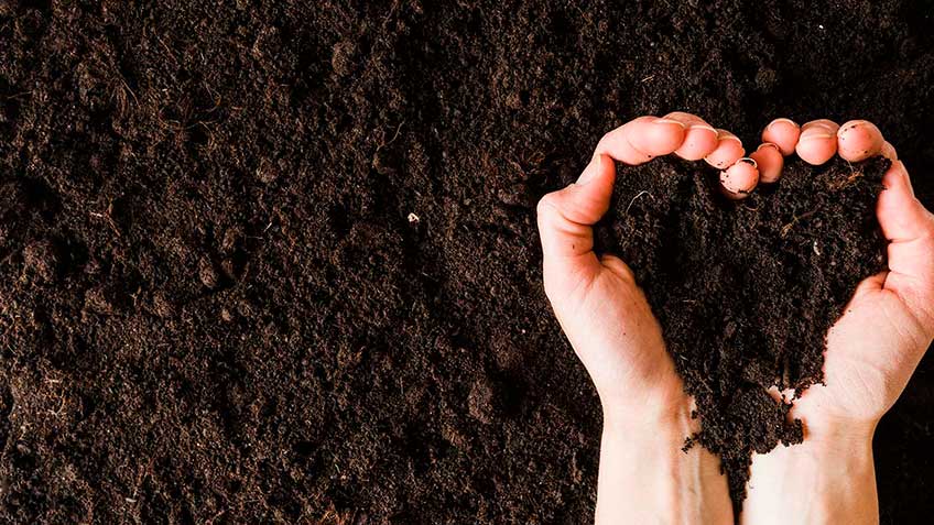Qué debemos aprender del campo?