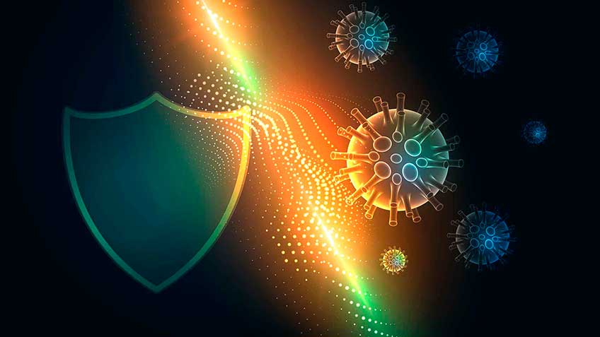 sistema-de-defensa-basica-contra-toxinas HitLive | Mañanas Poderosas