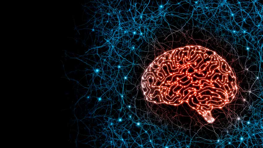 sistema-nervioso-en-la-mec HitLive | Mañanas Poderosas