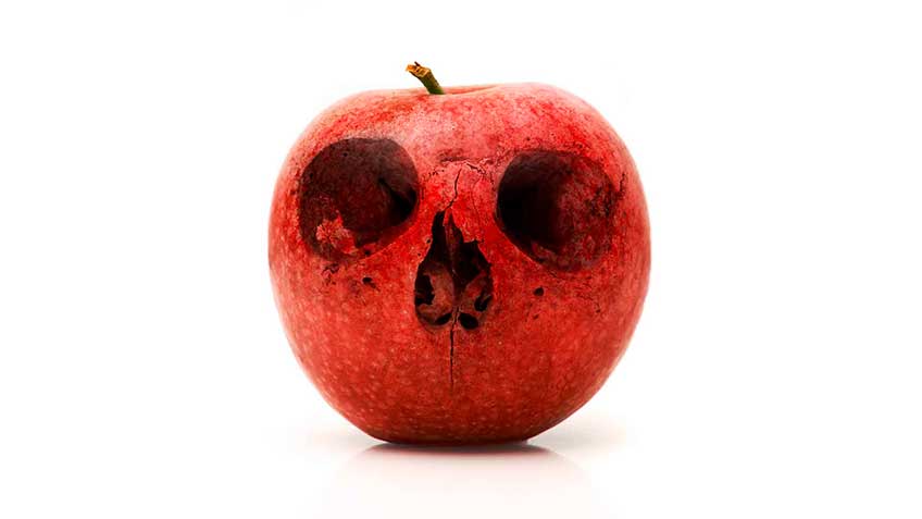 toxicidad-los-venenos HitLive | Mañanas Poderosas