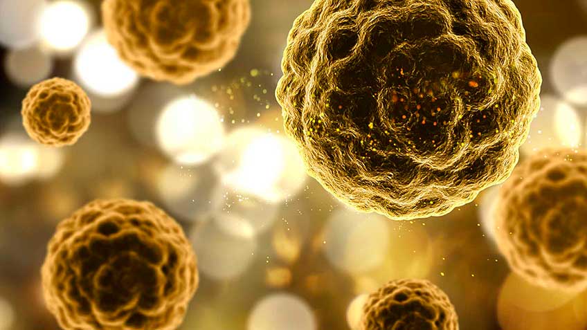 vitamina-c-inmunidad-y-sepsis HitLive | Mañanas Poderosas