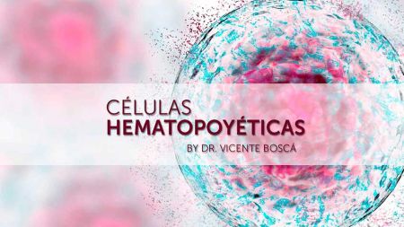 49490c592000a238b6aa19292dd5a2c3 image 49490c592000a238b6aa19292dd5a2c3 Indicaciones del uso de células autólogas - HitLive