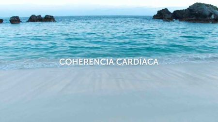 63c9960cca42ab11966a5b5c3f42b8b1 image 63c9960cca42ab11966a5b5c3f42b8b1 Cuáles deben ser mis hábitos de vida saludable - HitLive